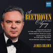 A BEETHOVEN ODYSSEY - VOL.8